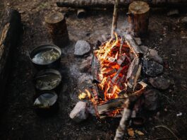 ognisko survival
