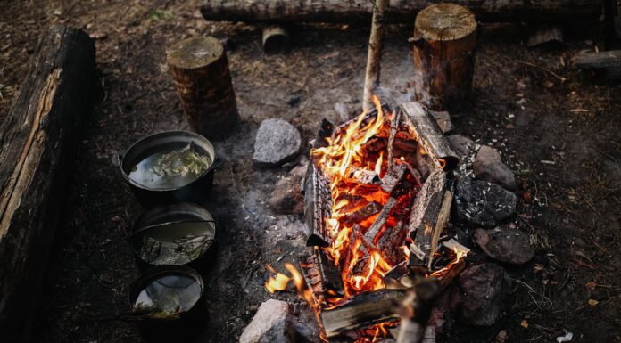 ognisko survival