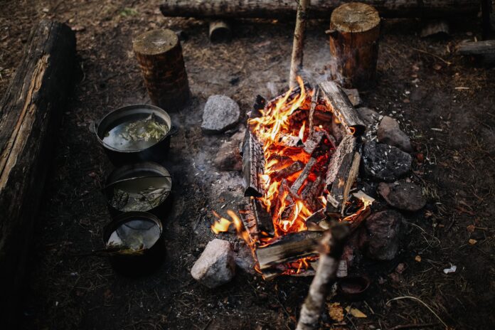 ognisko survival